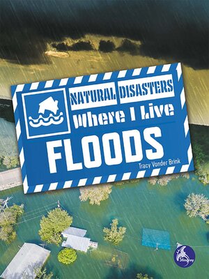 cover image of Floods